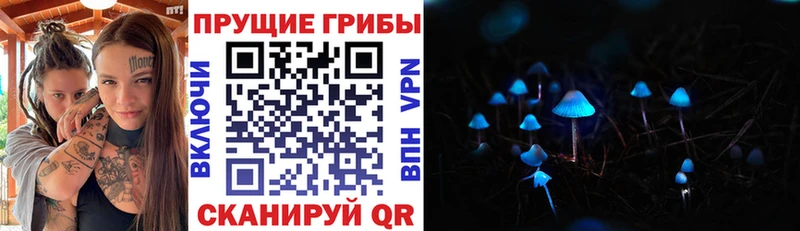 hydra онион  Ершов  Псилоцибиновые грибы MAGIC MUSHROOMS 
